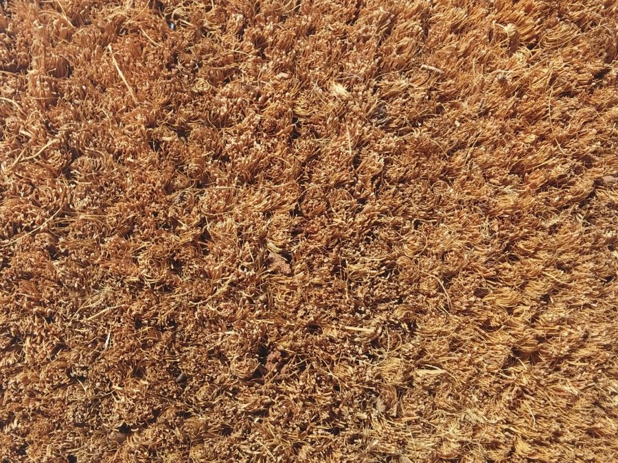 Cocomat
