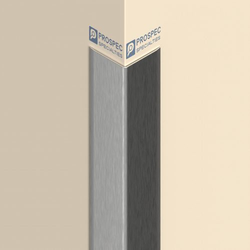 CG-1S